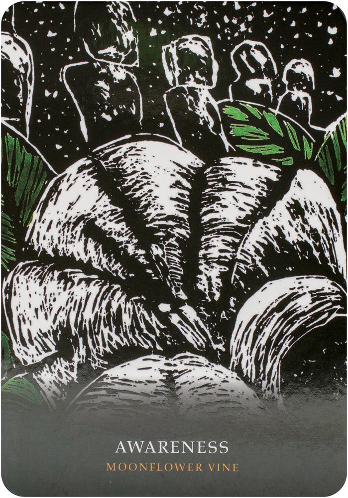 Flowers of the Night Oracle card unveiling the deck's spiritual symbolism — Eternal Spirit