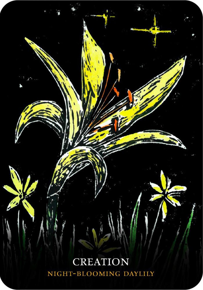 Flowers of the Night Oracle card illuminating the deck's rich colour palette — Eternal Spirit