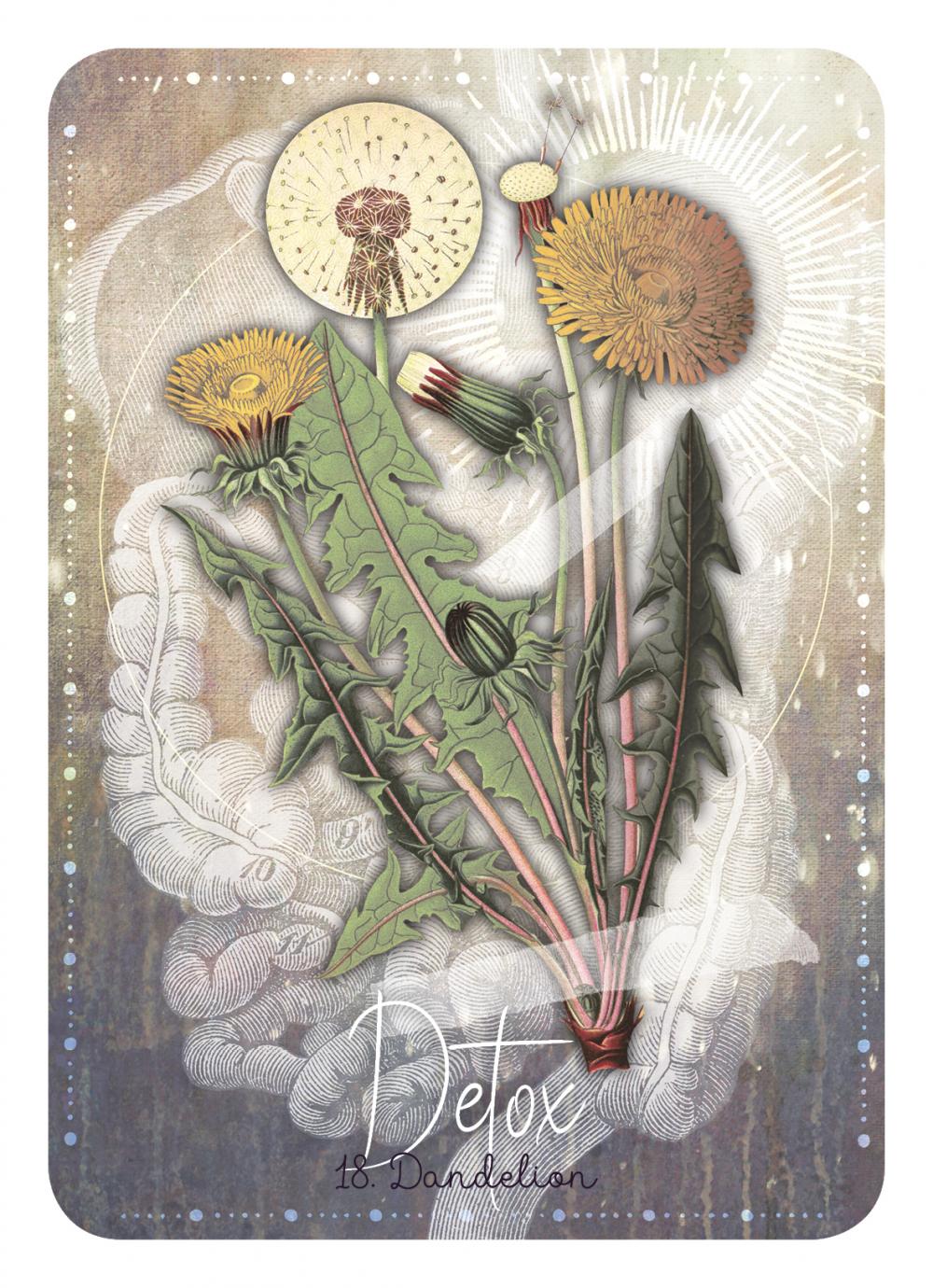 Magickal Herb Oracle card illuminating the deck's rich colour palette — Eternal Spirit