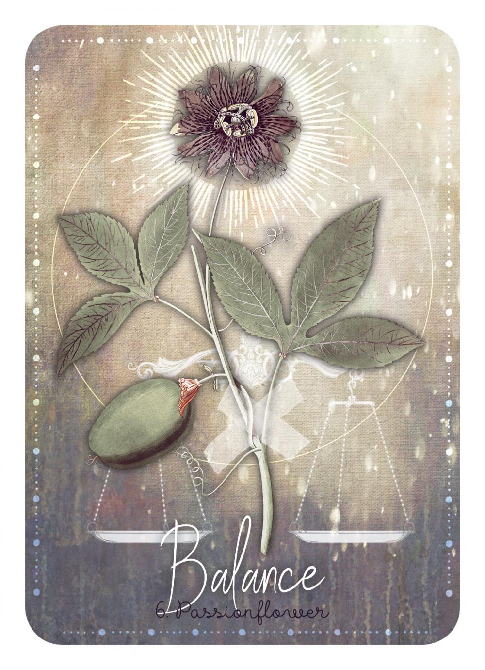 Magickal Herb Oracle deck, Botanical herb illustration card with delicate moth and plant sketches — Eternal Spirit