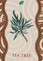 Aboriginal Healing Oracle card demonstrating the deck's inspired artistry — Eternal Spirit