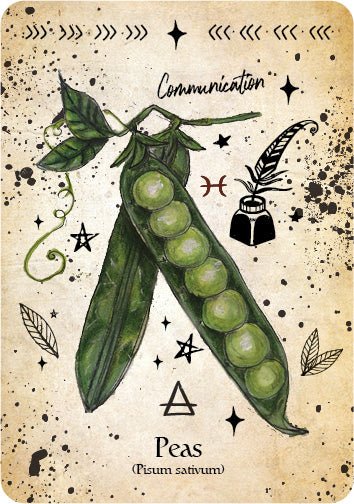The Green Witch Oracle deck, Peas card with detailed botanical illustration and mystical symbols — Eternal Spirit