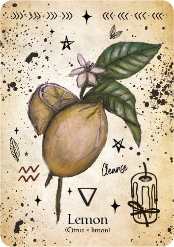 The Green Witch Oracle card illuminating the deck's rich colour palette — Eternal Spirit