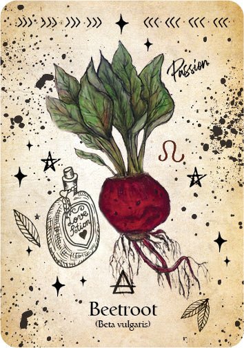 The Green Witch Oracle card capturing the deck's intuitive artistry — Eternal Spirit