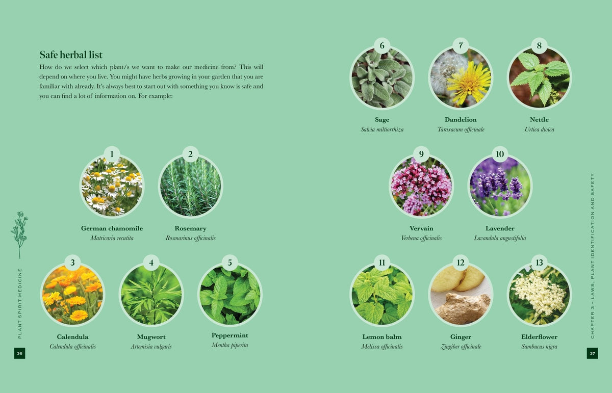interior preview 4 of Plant Spirit Medicine — Eternal Spirit