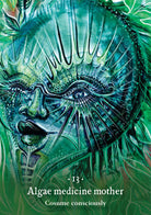 Sacred Sea Oracle deck, Algae Medicine Mother card with underwater kelp forest and sea life — Eternal Spirit