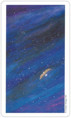 Vision Quest Tarot card illuminating the deck's rich colour palette — Eternal Spirit