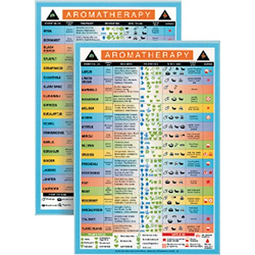Mini Charts Aromatherapy chart, mapping essential oils to their therapeutic healing properties — Eternal Spirit