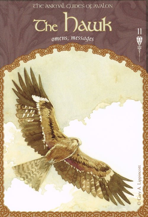 Wisdom of Avalon Oracle card reflecting the deck's transcendent artwork — Eternal Spirit