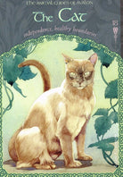 Wisdom of Avalon Oracle card portraying the deck's otherworldly aesthetic — Eternal Spirit
