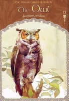 Wisdom of Avalon Oracle card exhibiting the deck's transformative card art — Eternal Spirit