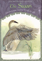 Wisdom of Avalon Oracle card celebrating the deck's unique visual language — Eternal Spirit
