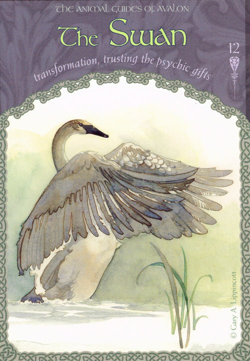 Wisdom of Avalon Oracle card celebrating the deck's unique visual language — Eternal Spirit