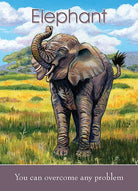 Childrens Spirit Animal Cards, Elephant card with You Can Overcome Any Problem message for children — Eternal Spirit