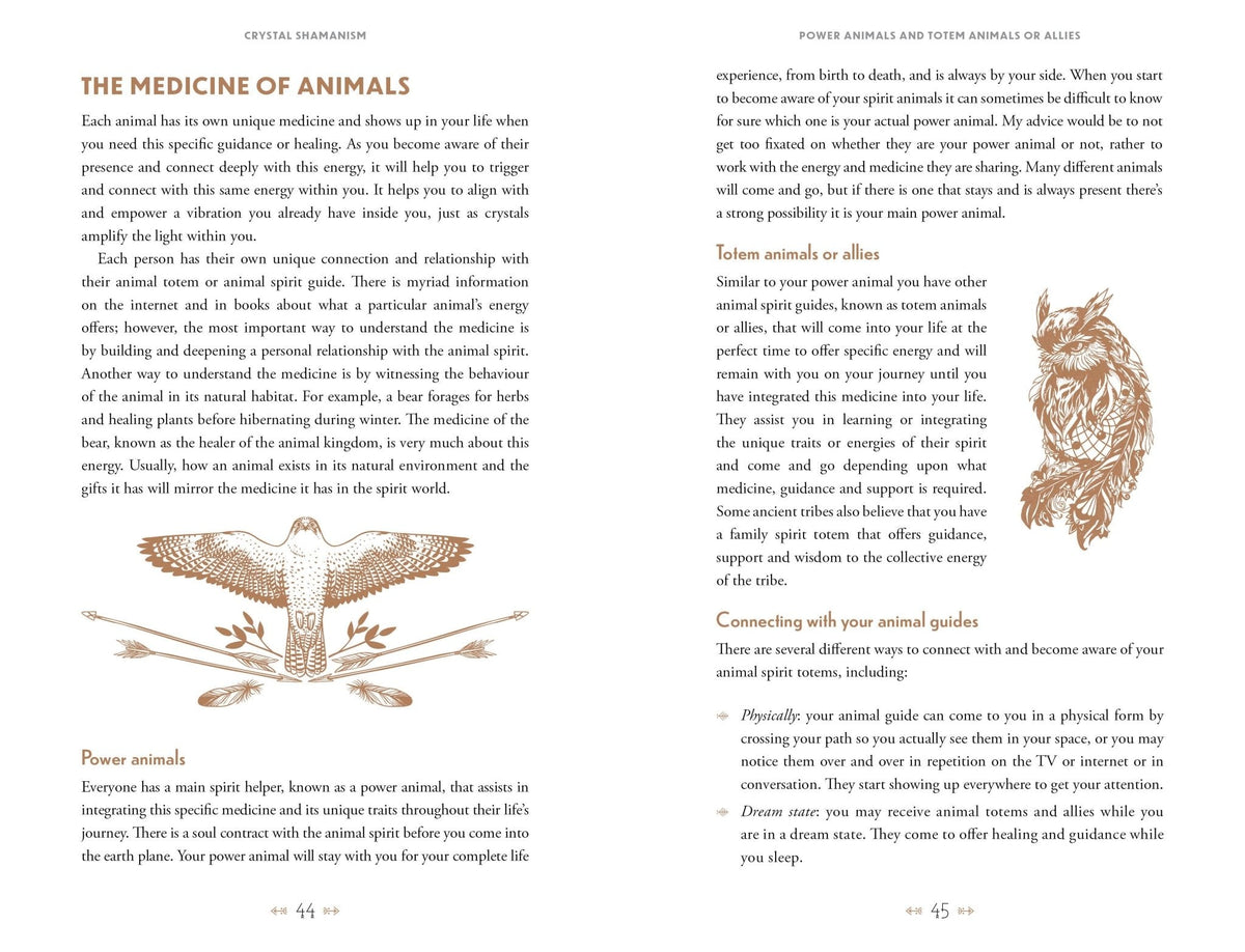 interior preview 3 of Crystal Shamanism — Eternal Spirit
