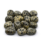 collection of polished Dalmatian Stone tumble stones — Eternal Spirit