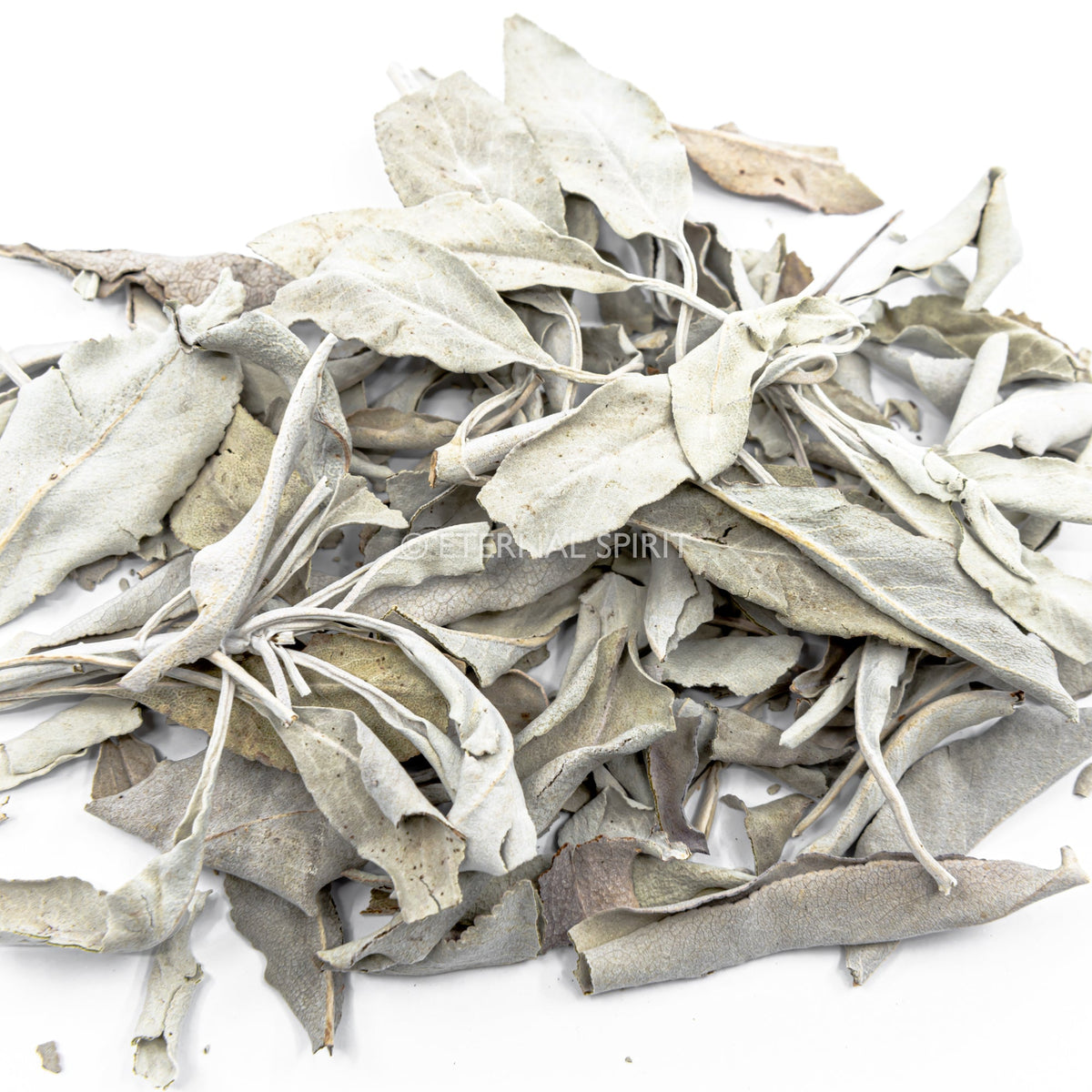 white sage - loose leaves, aromatic herbal bundle on white background — Eternal Spirit