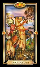 Easy Tarot Set card highlighting the deck's symbolic art — Eternal Spirit