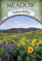 Earth Magic Oracle deck, Meadow Vulnerability card with wildflower landscape and rainbow arch — Eternal Spirit
