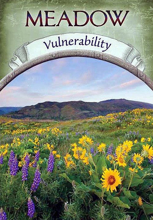 Earth Magic Oracle deck, Meadow Vulnerability card with wildflower landscape and rainbow arch — Eternal Spirit