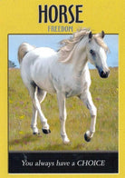 Power Animal Oracle deck, Horse Freedom card with white stallion galloping in golden field — Eternal Spirit