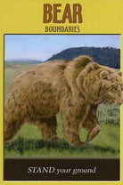 Power Animal Oracle card exhibiting the deck's transformative card art — Eternal Spirit