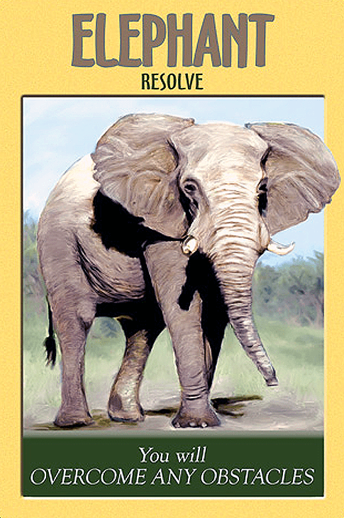 Power Animal Oracle card revealing the deck's mystical artwork — Eternal Spirit