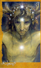 The Faerie's Oracle card presenting the deck's visionary illustrations — Eternal Spirit