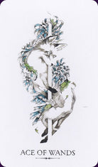 The Linestrider Tarot card capturing the deck's intuitive artistry — Eternal Spirit
