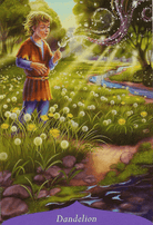 Magic of Flowers Oracle card exploring the deck's contemplative imagery — Eternal Spirit