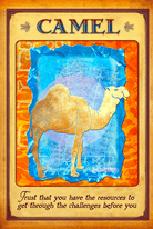 Messages From Your Animal Spirit Guides Oracle deck, Camel spirit guide card with desert scene and — Eternal Spirit