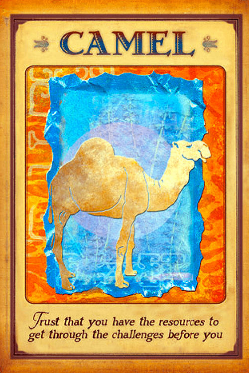 Messages From Your Animal Spirit Guides Oracle deck, Camel spirit guide card with desert scene and — Eternal Spirit