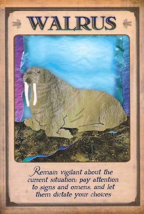 Messages From Your Animal Spirit Guides Oracle card celebrating the deck's unique visual language — Eternal Spirit