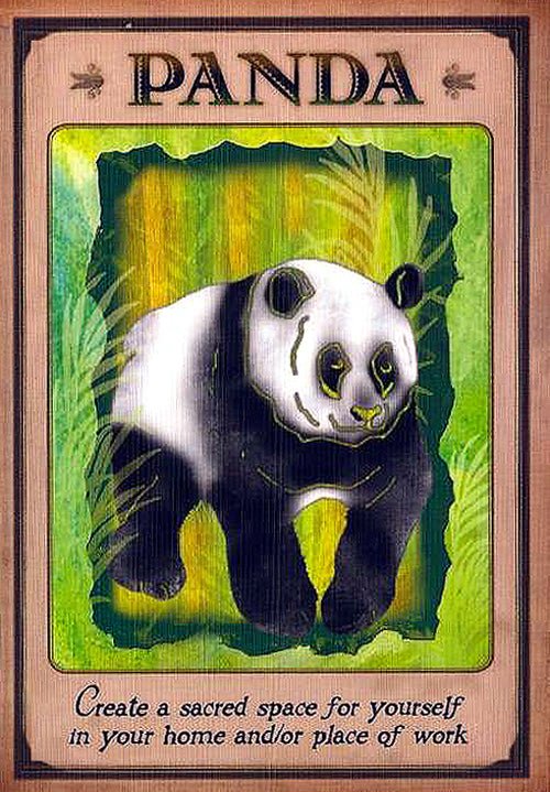 Messages From Your Animal Spirit Guides Oracle card illuminating the deck's rich colour palette — Eternal Spirit