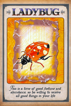 Messages From Your Animal Spirit Guides Oracle card capturing the deck's intuitive artistry — Eternal Spirit