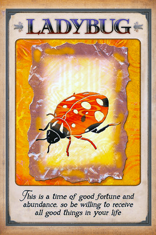 Messages From Your Animal Spirit Guides Oracle card capturing the deck's intuitive artistry — Eternal Spirit