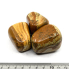 close-up of extra-large Jasper (Picture) tumbles showing natural colour and lustre — Eternal Spirit