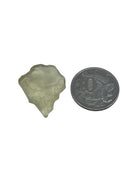 golden Libyan Desert Glass natural formation #3538, revealing hidden facets — Eternal Spirit