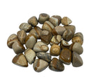 collection of polished Jasper (Picture) tumble stones — Eternal Spirit