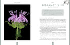 interior preview 2 of Plants of Power — Eternal Spirit