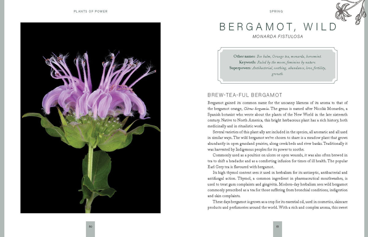 interior preview 2 of Plants of Power — Eternal Spirit