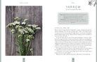 interior preview 3 of Plants of Power — Eternal Spirit
