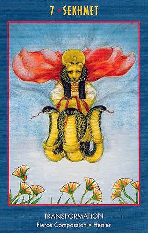 The Anubis Oracle card illuminating the deck's rich colour palette — Eternal Spirit