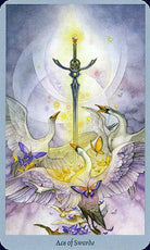 Shadowscapes Tarot card displaying the deck's hand-painted illustrations — Eternal Spirit