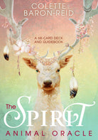 The Spirit Animal Oracle box with cosmic fox by Colette Baron-Reid — Eternal Spirit