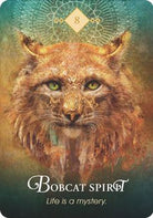 The Spirit Animal Oracle card showcasing the deck's evocative imagery — Eternal Spirit