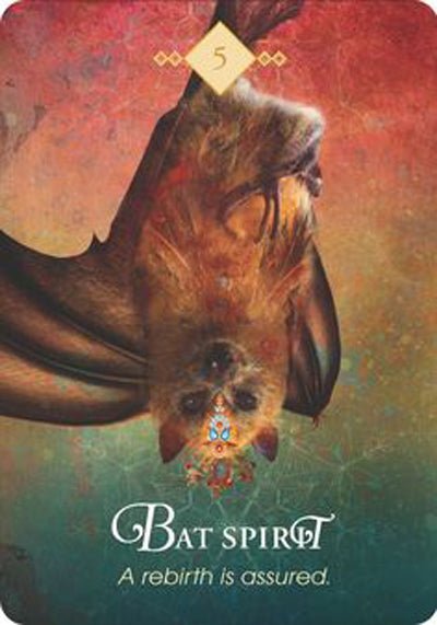 The Spirit Animal Oracle card unveiling the deck's spiritual symbolism — Eternal Spirit