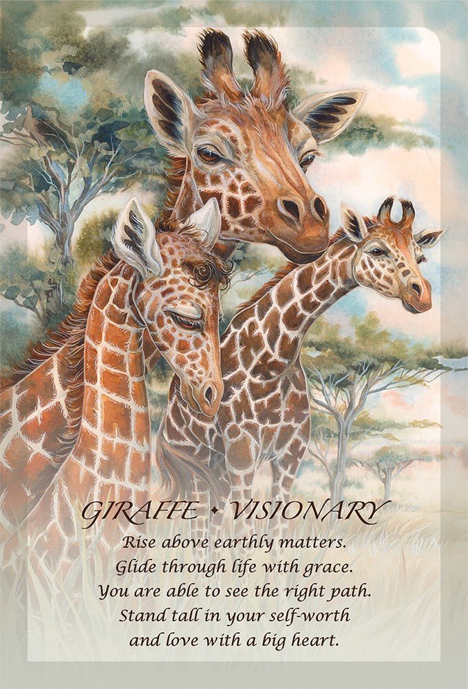 Spirit of the Animals Oracle card exploring the deck's contemplative imagery — Eternal Spirit
