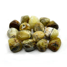 collection of polished Opal (Yellow) tumble stones — Eternal Spirit