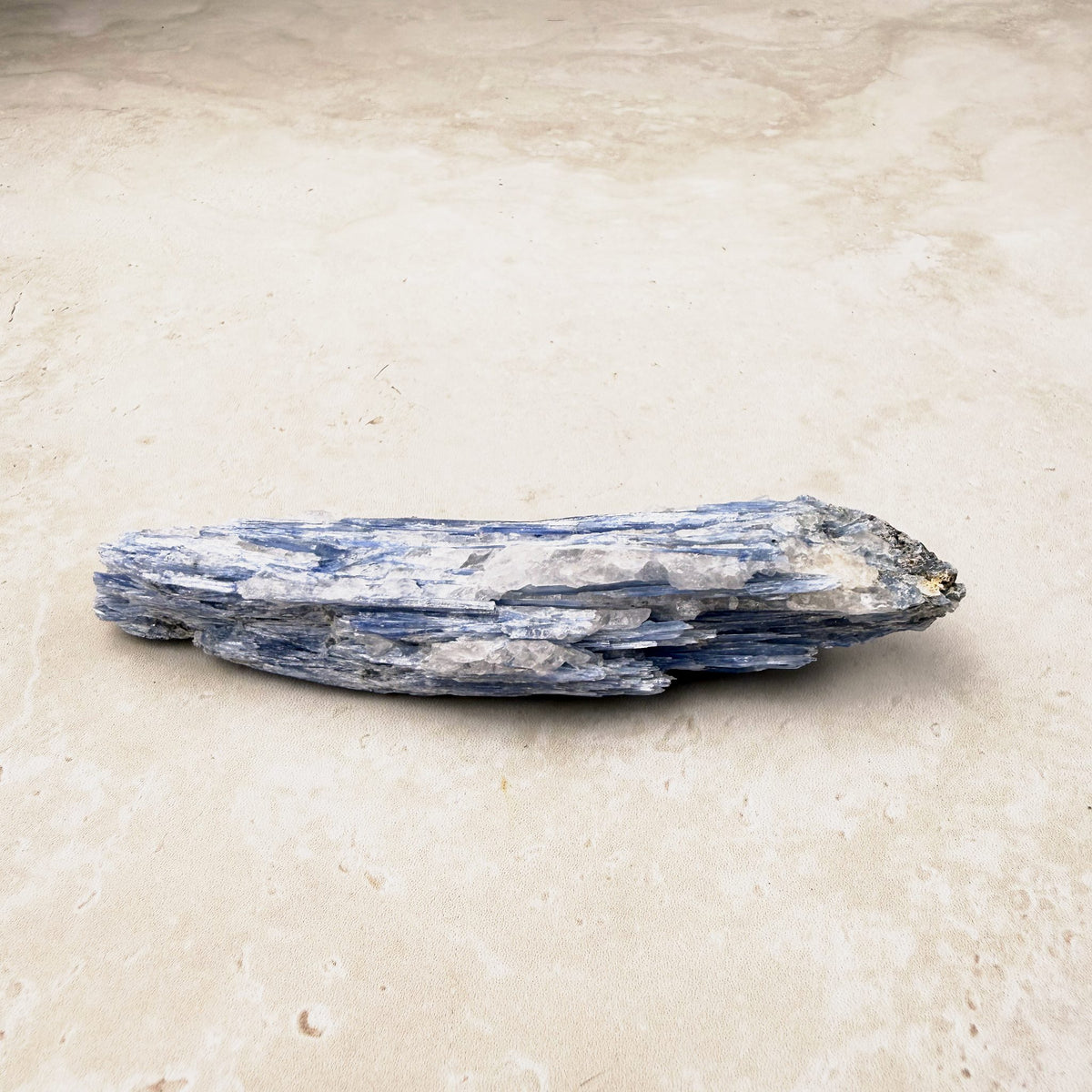 Blue kyanite natural crystal blade 11cm, slim blue blades with silvery streaks, lying flat — Eternal Spirit